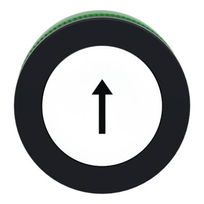 FLUSH MOUNTED WHITE FLUSH CAPS PUSHBUTTON HEAD BLACK MARKED ARROW - Schneider Electric - ZB5FA334