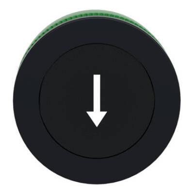 FLUSH MOUNTED BLACK FLUSH CAPS PUSHBUTTON HEAD WHITE MARKED ARROW - Schneider Electric - ZB5FA335
