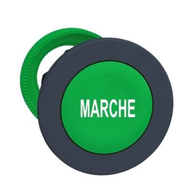 FLUSH MOUNTED GREEN FLUSH CAPS PUSHBUTTON HEAD WHITE MARKED MARCHE - Schneider Electric - ZB5FA342