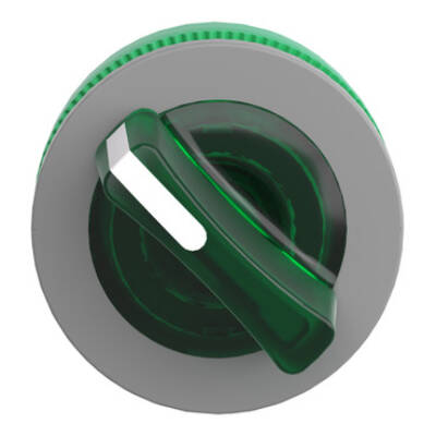 Head for illuminated selector switch, Harmony XB5, grey bezel, green handle, flush mounted, 30mm, universal LED, 2 positions - Schneider Electric - ZB5FK1233C0