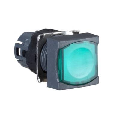 green square flush illuminated pushbutton head Ø16 latching for integral LED - Schneider Electric - ZB6CF3