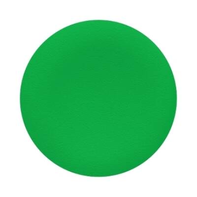 green cap unmarked for circular flush pushbutton Ø22 - Schneider Electric - ZBA3