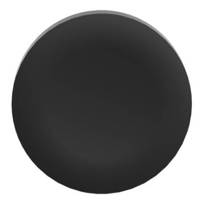 black plain cap for flush mounted push button - Schneider Electric - ZBAF2