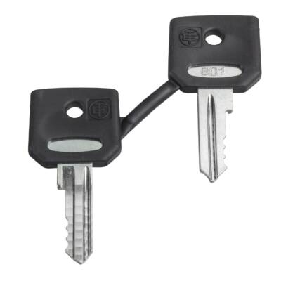 set of 2 keys 4A185 - Schneider Electric - ZBDA185