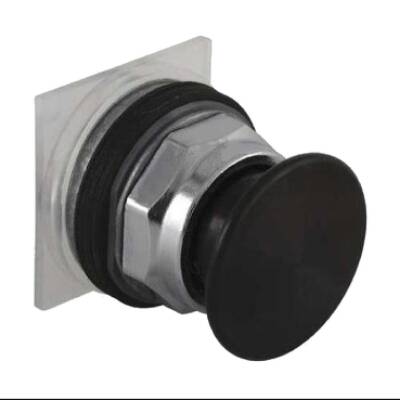 Momentary Push Button - Square D - 9001KR24BM